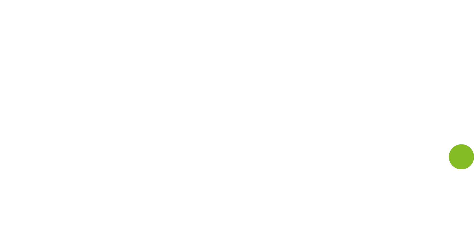Deloitte - Logo Transparent White